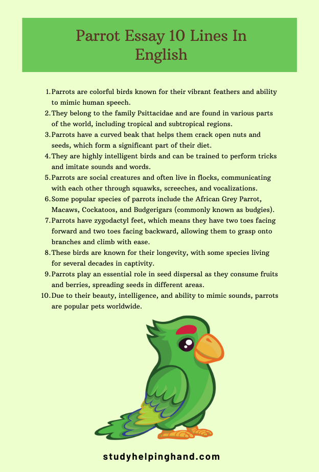 parrot-essay-10-lines