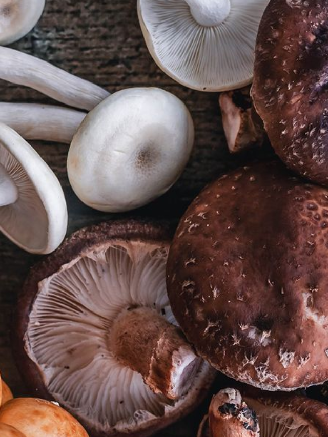 8 Healthy Mushroom Powder Types