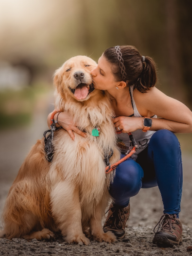 Best active dogs for active people