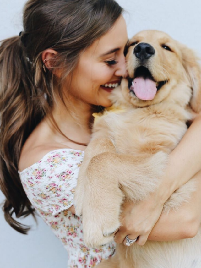 Most active dog breed