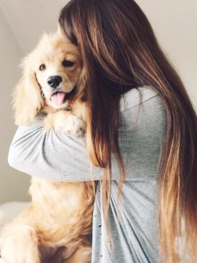 Top 10 most energetic dog breeds