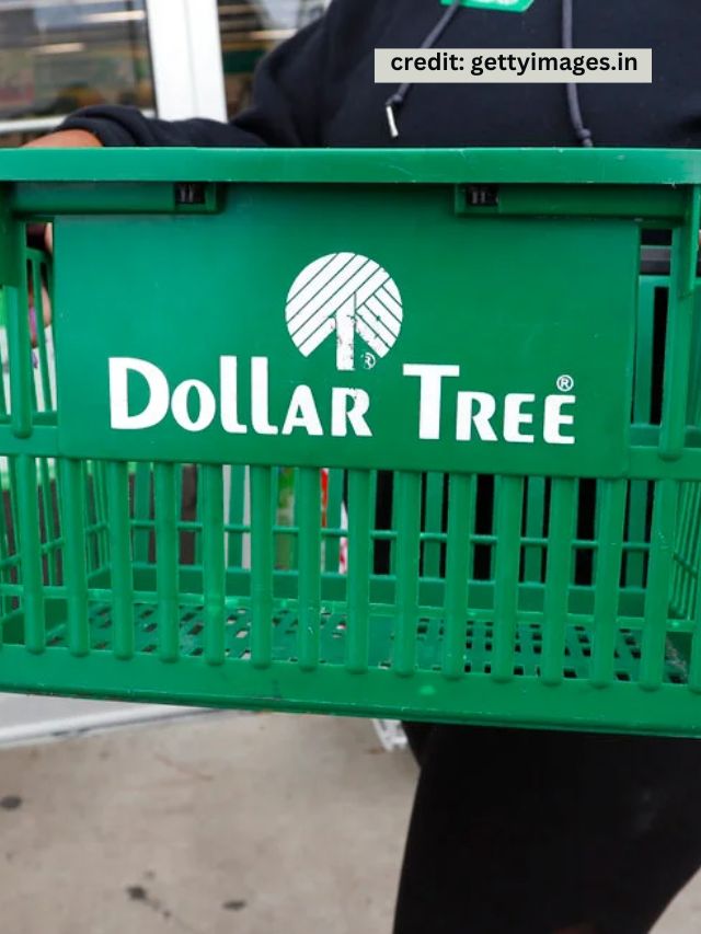 5 Best Food Items To Buy at Dollar Tree in May